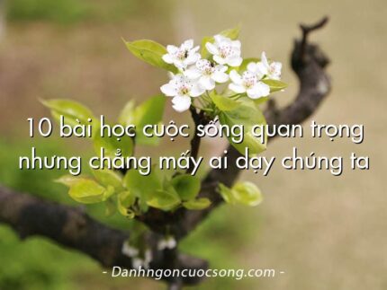 10 bài học cuộc sống quan trọng nhưng chẳng mấy ai dạy chúng ta