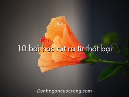 10 bài học rút ra từ thất bại