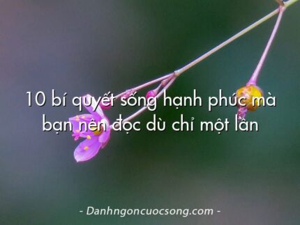 10 bí quyết sống hạnh phúc mà bạn nên đọc dù chỉ một lần