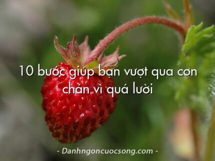 10 bước giúp bạn vượt qua cơn chán vì quá lười