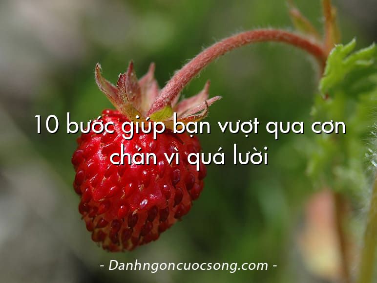 10 bước giúp bạn vượt qua cơn chán vì quá lười