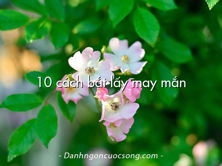 10 cách bắt lấy may mắn