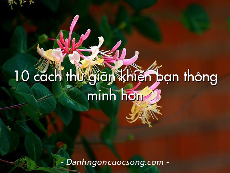 10 cách thư giãn khiến bạn thông minh hơn