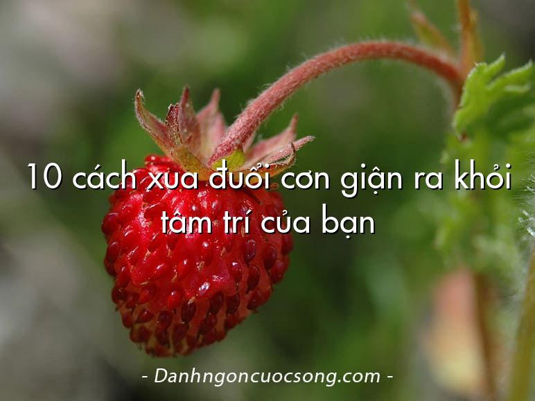10 cách xua đuổi cơn giận ra khỏi tâm trí của bạn