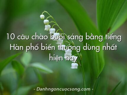 10 câu chào buổi sáng bằng tiếng Hàn phổ biến thường dùng nhất hiện nay