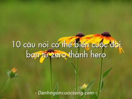 10 câu nói có thể biến cuộc đời bạn từ zero thành hero