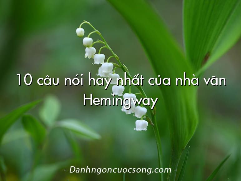 10 câu nói hay nhất của nhà văn Hemingway
