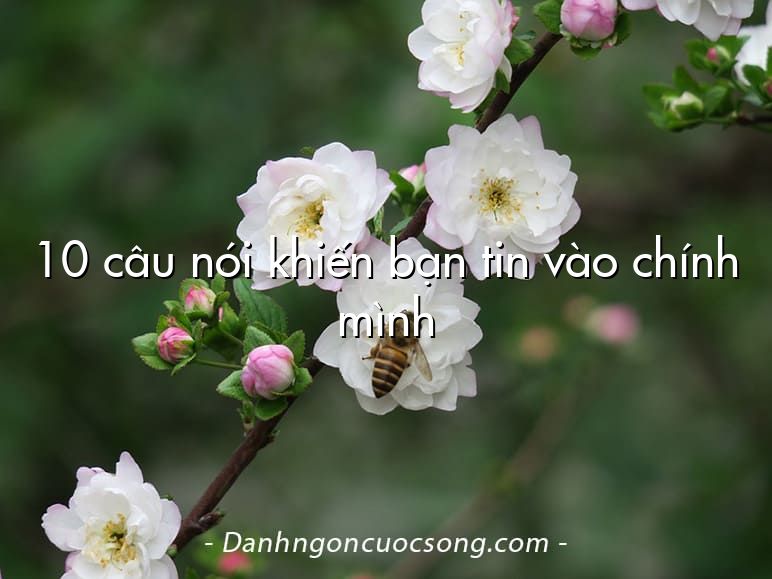 10 câu nói khiến bạn tin vào chính mình