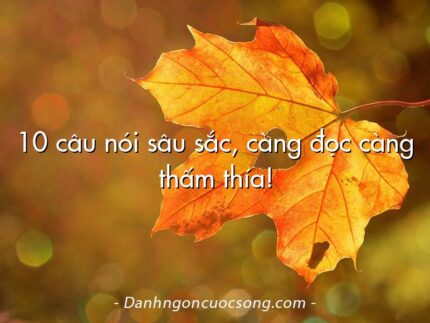 10 câu nói sâu sắc, càng đọc càng thấm thía!
