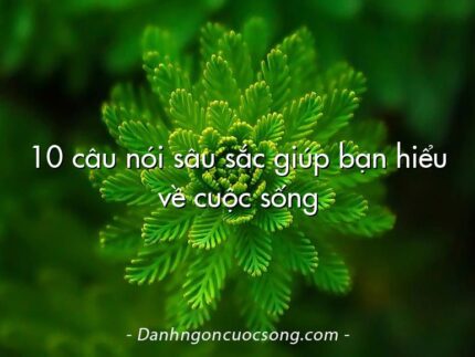 10 câu nói sâu sắc giúp bạn hiểu về cuộc sống