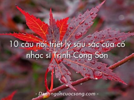 10 câu nói triết lý sâu sắc của cố nhạc sĩ Trịnh Công Sơn