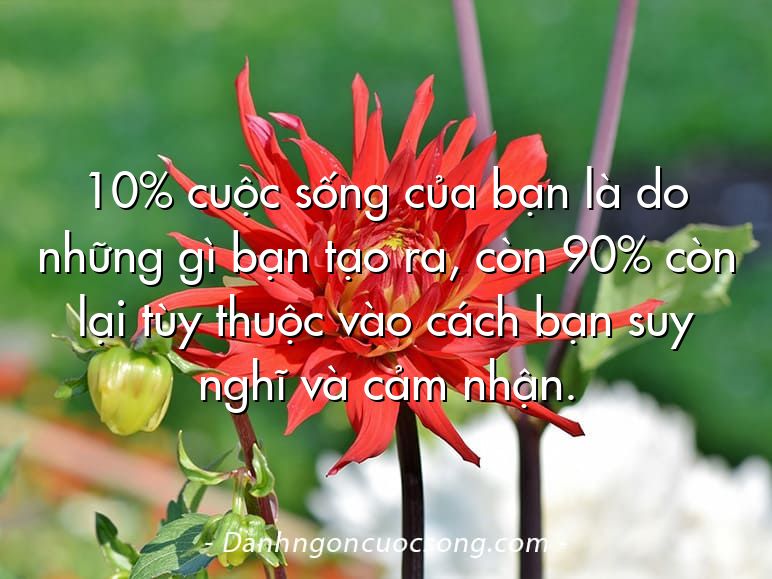 10% cuộc sống của bạn là do những gì bạn tạo ra, còn 90% còn lại tùy thuộc vào cách bạn suy nghĩ và cảm nhận.