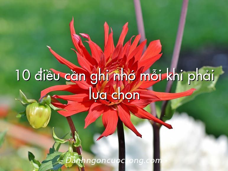 10 điều cần ghi nhớ mỗi khi phải lựa chọn