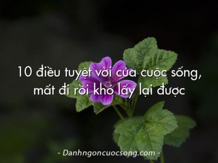 10 điều tuyệt vời của cuộc sống, mất đi rồi khó lấy lại được