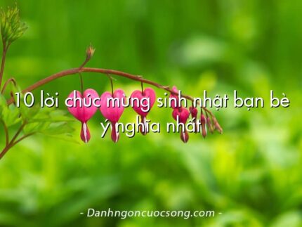 10 lời chúc mừng sinh nhật bạn bè ý nghĩa nhất