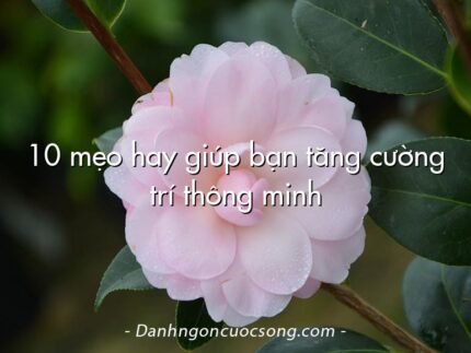10 mẹo hay giúp bạn tăng cường trí thông minh