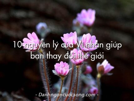 10 nguyên lý của Vĩ nhân giúp bạn thay đổi thế giới