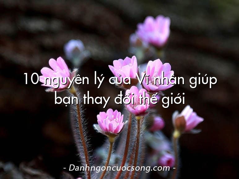 10 nguyên lý của Vĩ nhân giúp bạn thay đổi thế giới