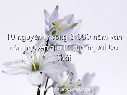 10 nguyên lý sống 3.000 năm vẫn còn nguyên giá trị của người Do Thái