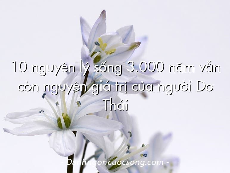 10 nguyên lý sống 3.000 năm vẫn còn nguyên giá trị của người Do Thái