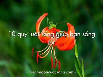 10 quy luật sống giúp bạn sống tốt
