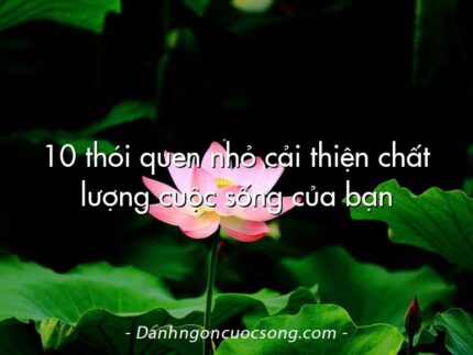 10 thói quen nhỏ cải thiện chất lượng cuộc sống của bạn