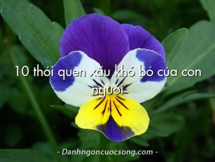 10 thói quen xấu khó bỏ của con người