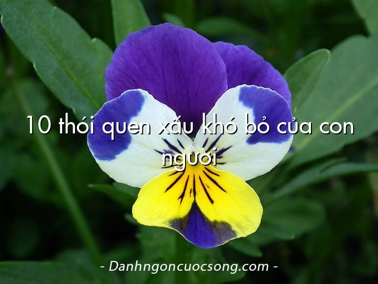 10 thói quen xấu khó bỏ của con người