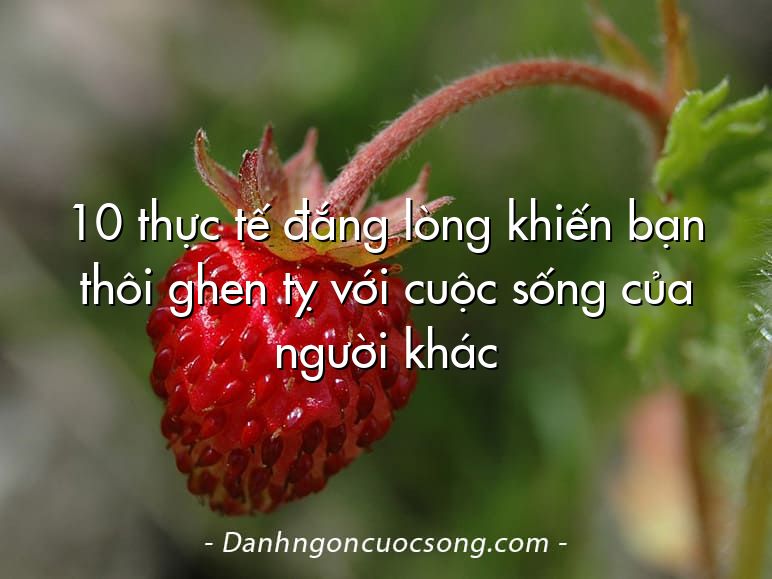 10 thực tế đắng lòng khiến bạn thôi ghen tỵ với cuộc sống của người khác