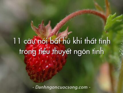 11 câu nói bất hủ khi thất tình trong tiểu thuyết ngôn tình