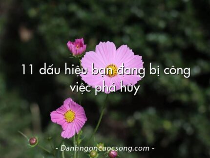 11 dấu hiệu bạn đang bị công việc phá hủy