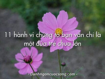 11 hành vi chứng tỏ bạn vẫn chỉ là một đứa trẻ chưa lớn