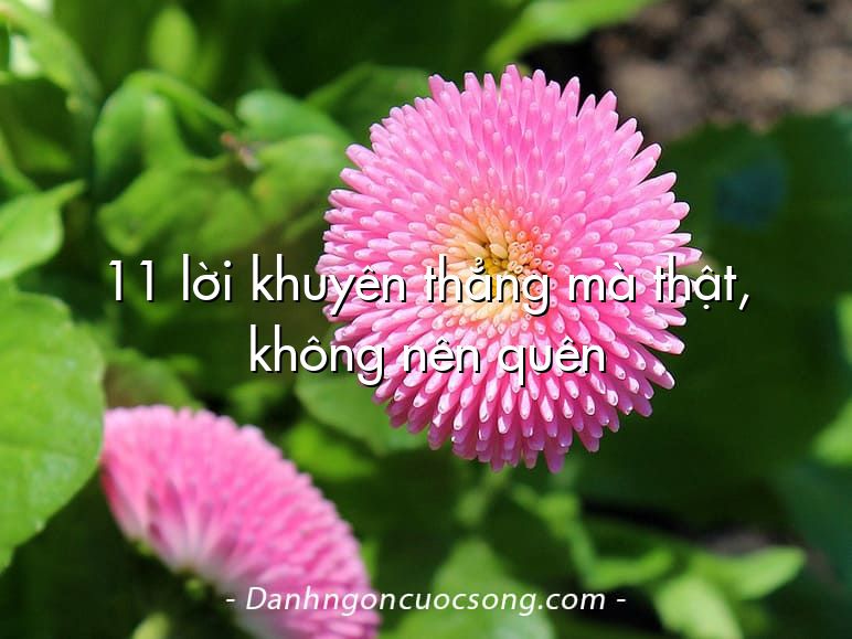 11 lời khuyên thẳng mà thật, không nên quên