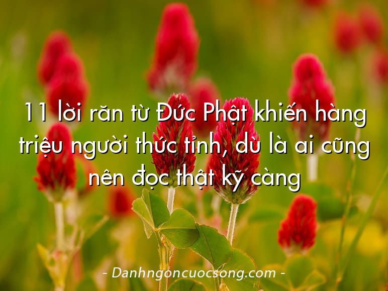11 lời răn từ Đức Phật khiến hàng triệu người thức tỉnh, dù là ai cũng nên đọc thật kỹ càng