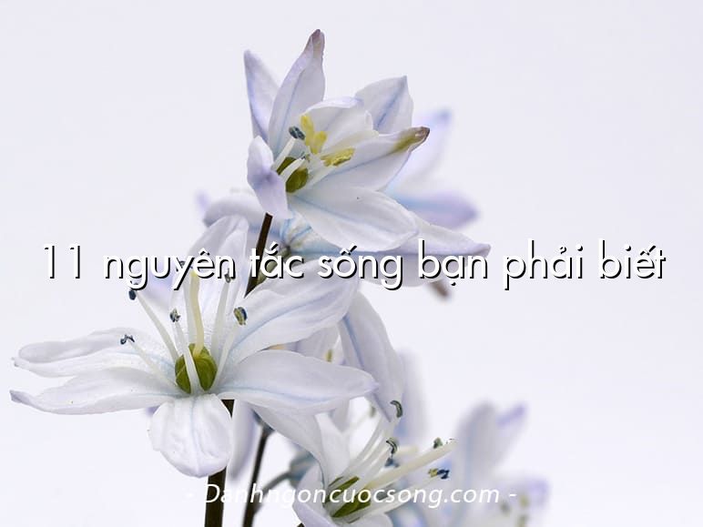11 nguyên tắc sống bạn phải biết