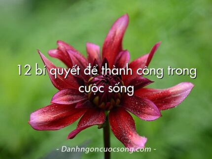 12 bí quyết để thành công trong cuộc sống