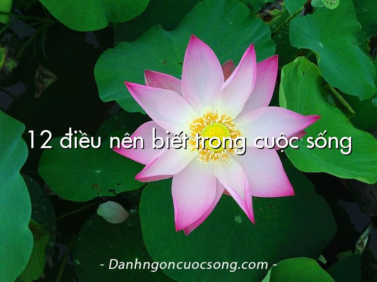 12 điều nên biết trong cuộc sống