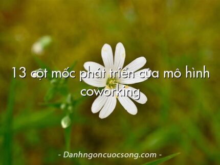 13 cột mốc phát triển của mô hình coworking
