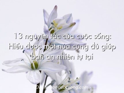 13 nguyên tắc của cuộc sống: Hiểu được một nửa cũng đủ giúp bạn an nhiên tự tại