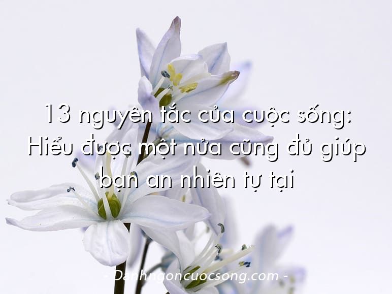 13 nguyên tắc của cuộc sống: Hiểu được một nửa cũng đủ giúp bạn an nhiên tự tại