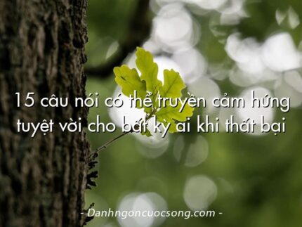 15 câu nói có thể truyền cảm hứng tuyệt vời cho bất kỳ ai khi thất bại