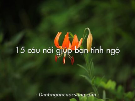 15 câu nói giúp bạn tỉnh ngộ