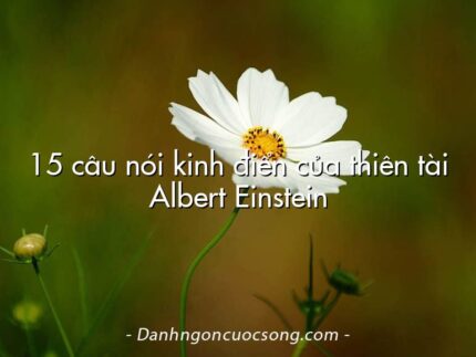 15 câu nói kinh điển của thiên tài Albert Einstein