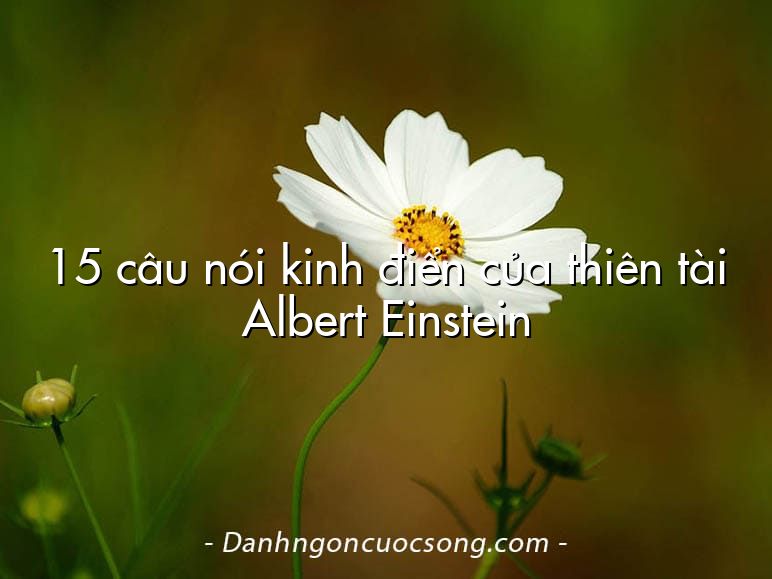 15 câu nói kinh điển của thiên tài Albert Einstein