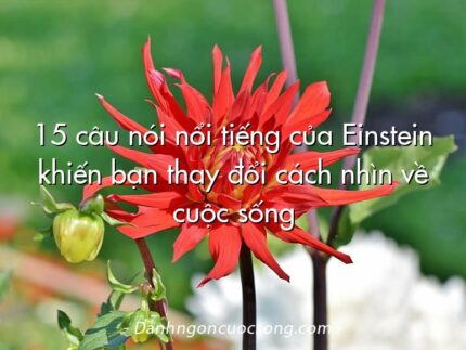 15 câu nói nổi tiếng của Einstein khiến bạn thay đổi cách nhìn về cuộc sống