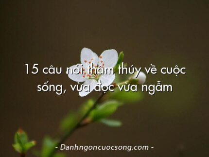 15 câu nói thâm thúy về cuộc sống, vừa đọc vừa ngẫm