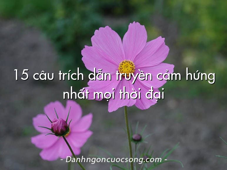 15 câu trích dẫn truyền cảm hứng nhất mọi thời đại