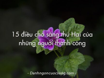 15 điều cho sáng thứ Hai của những người thành công