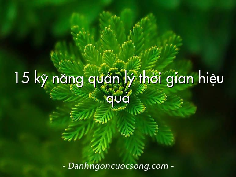 15 kỹ năng quản lý thời gian hiệu quả