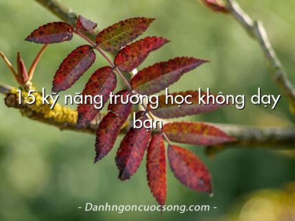15 kỹ năng trường học không dạy bạn